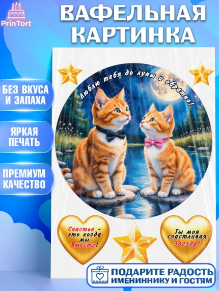 Вафельная картинка, День рождения, Девушка, арт. PT220177