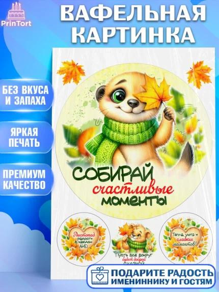 Вафельная картинка, День рождения, осень, осенняя пора, листья, девочка, осенние листья, арт. PT220215