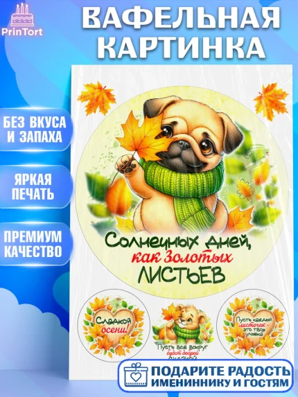 Вафельная картинка, День рождения, осень, осенняя пора, листья, девочка, осенние листья, арт. PT220217