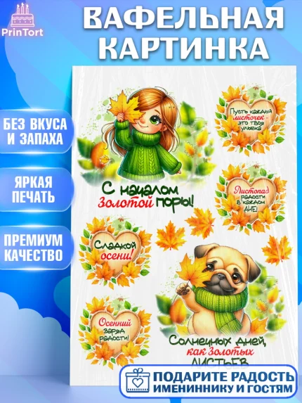 Вафельная картинка, День рождения, осень, осенняя пора, листья, девочка, осенние листья, арт. PT220233