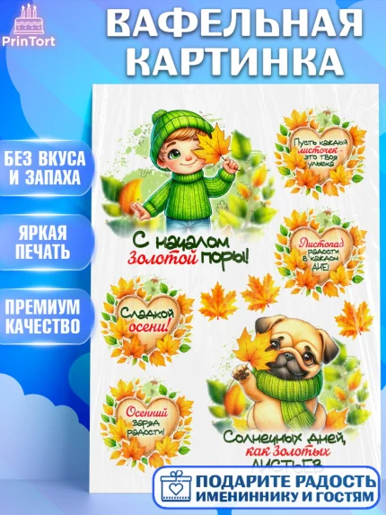 Вафельная картинка, День рождения, осень, осенняя пора, листья, девочка, осенние листья, Мальчик, арт. PT220239