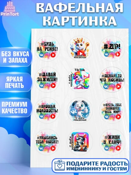 Вафельная картинка, Социальные сети, Тик ток, инстаграм, вк, единорог, ютуб, Tik Tok, You Tube, VK, арт. PT220372