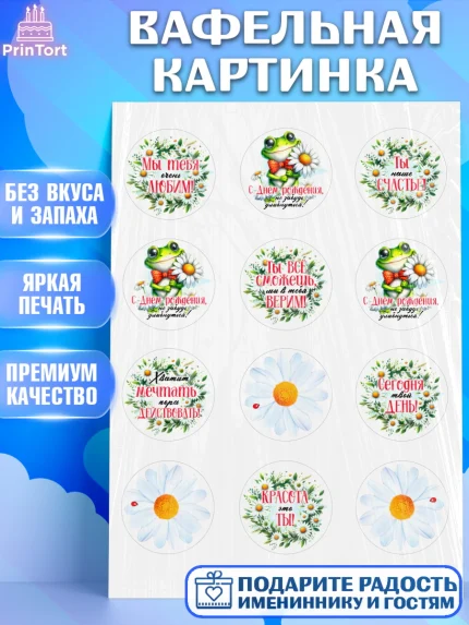 Вафельная картинка, День рождения, Лягушка, принцеса, ромашки, букет, цветы, Девочка, арт. PT220483