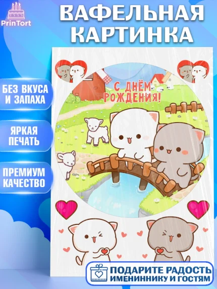 Вафельная картинка, Герои Пич и Гома, Пич и Гома, Peach and Goma, Девочка, День рождения, арт. PT220780