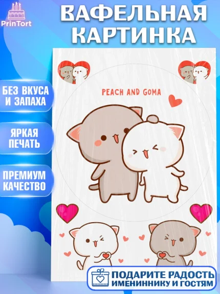 Вафельная картинка, Герои Пич и Гома, Пич и Гома, Peach and Goma, Девочка, День рождения, арт. PT220783