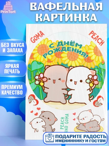 Вафельная картинка, Герои Пич и Гома, Пич и Гома, Peach and Goma, Девочка, День рождения, арт. PT220784