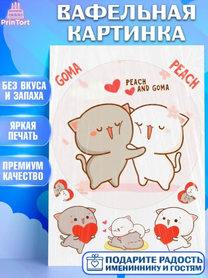Вафельная картинка, Герои Пич и Гома, Пич и Гома, Peach and Goma, Девочка, День рождения, арт. PT220785