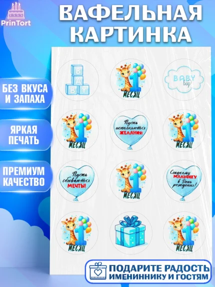 Вафельная картинка, День Рождение малыша, звери, животные, зоопарк, мальчику, шарики, Мальчик, арт. PT220866
