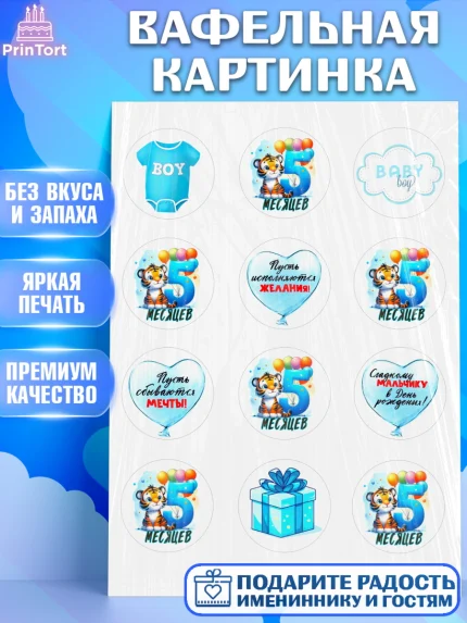 Вафельная картинка, День Рождение малыша, звери, животные, зоопарк, мальчику, шарики, Мальчик, арт. PT220870