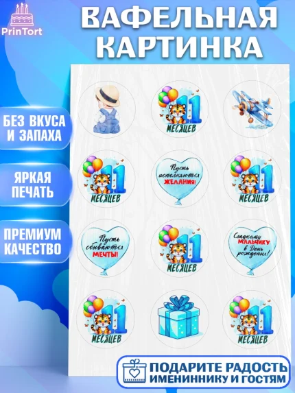 Вафельная картинка, День Рождение малыша, звери, животные, зоопарк, мальчику, шарики, Мальчик, арт. PT220877
