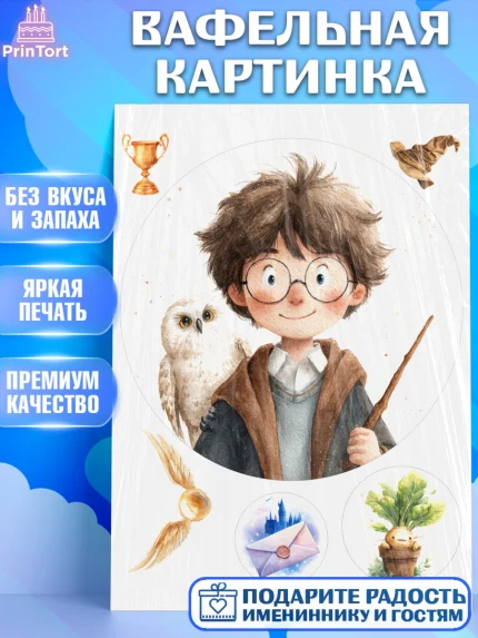 Вафельная картинка, Гарри Поттер, Harry Potter, Хогвартс, Гермиона, Драко, Рон, платформа 9, арт. PT222063