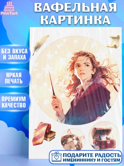 Вафельная картинка, Гарри Поттер, Harry Potter, Хогвартс, Гермиона, Драко, Рон, платформа 9, арт. PT222064