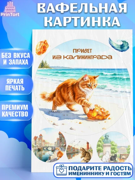Вафельная картинка, Калининград, город Калининград, с любовью из Калининграда, Девочка, арт. PT222357
