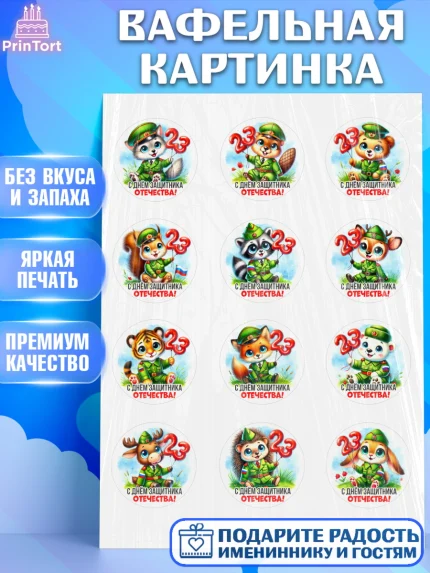 Вафельная картинка, 23 февраля, День защитника отечества, военный, мужчина, танк, самолет, фуражка, арт. PT222725
