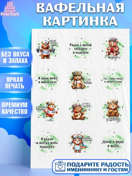 Вафельная картинка, 23 февраля, День защитника отечества, военный, мужчина, танк, самолет, фуражка, арт. PT222741