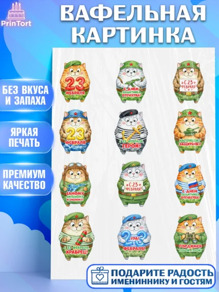Вафельная картинка, 23 февраля, День защитника отечества, военный, мужчина, танк, самолет, фуражка, арт. PT222760