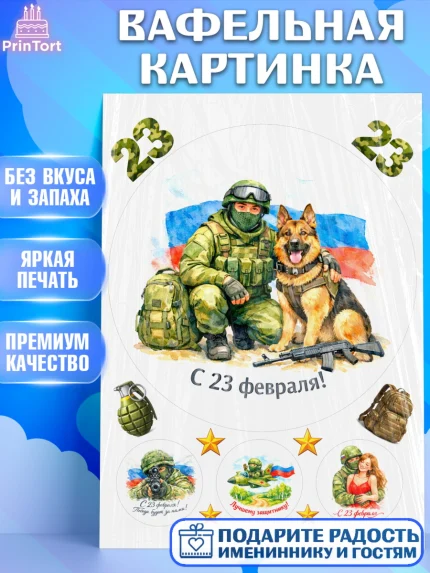Вафельная картинка, 23 февраля, День защитника отечества, военный, мужчина, танк, самолет, фуражка, арт. PT222809