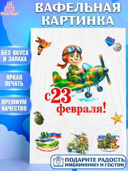 Вафельная картинка, 23 февраля, День защитника отечества, военный, мужчина, танк, самолет, фуражка, арт. PT222828