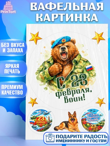 Вафельная картинка, 23 февраля, День защитника отечества, военный, мужчина, танк, самолет, фуражка, арт. PT222832