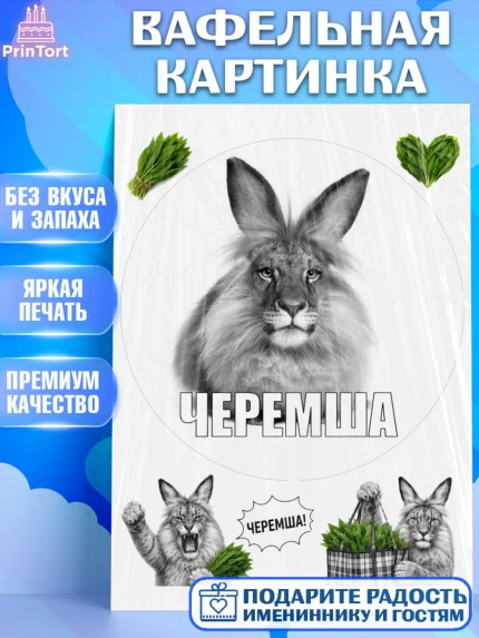 Вафельная картинка, Черемша, Мем Черемша, Девочка, Без конкретного повода, арт. PT223444