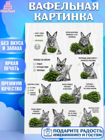 Вафельная картинка, Черемша, Мем Черемша, Девочка, Без конкретного повода, арт. PT223446