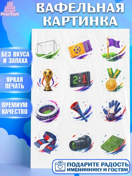 Вафельная картинка, Чемпионат Мира по Футболу, футбол, мяч, FIFA, стадион, Девочка, арт. PT224131