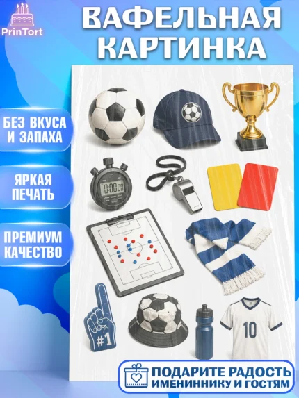 Вафельная картинка, Чемпионат Мира по Футболу, футбол, мяч, FIFA, стадион, Девочка, арт. PT224133