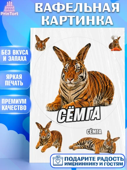 Вафельная картинка, Сёмга, Мем Сёмга, Девочка, Без конкретного повода, арт. PT224416