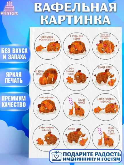 Вафельная картинка, Маме, Девушка, День рождения, арт. PT224821