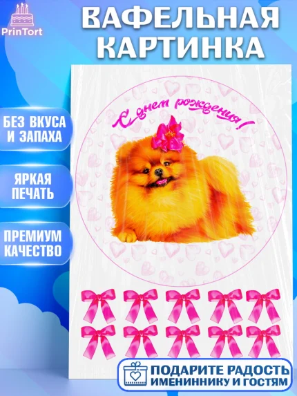 Вафельная картинка, Шпиц, Девочка, День рождения, арт. PT224936