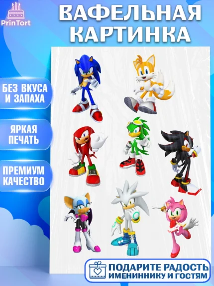 Вафельная картинка, Соник, Sonic, Девочка, День рождения, арт. PT224940