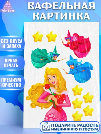 Вафельная картинка, Принцессы, Девочка, День рождения, арт. PT224977
