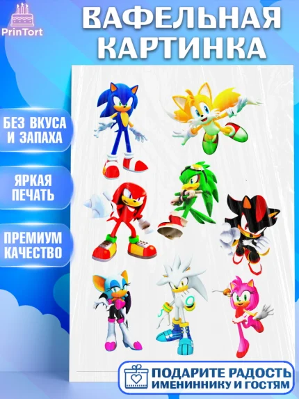 Вафельная картинка, Соник, Sonic, Девочка, День рождения, арт. PT225152