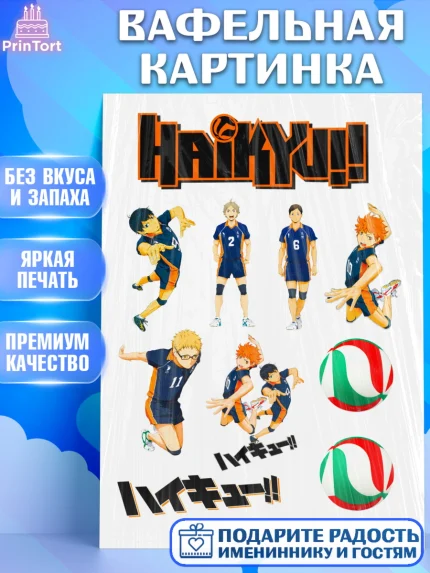 Вафельная картинка, Haikyu, Аниме, Девочка, День рождения, арт. PT225293