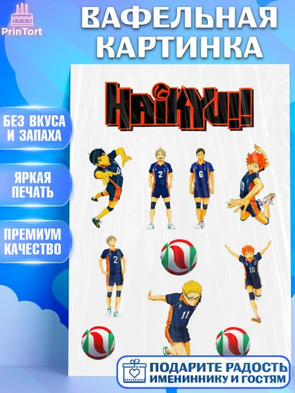 Вафельная картинка, Haikyu, Аниме, Девочка, День рождения, арт. PT225294