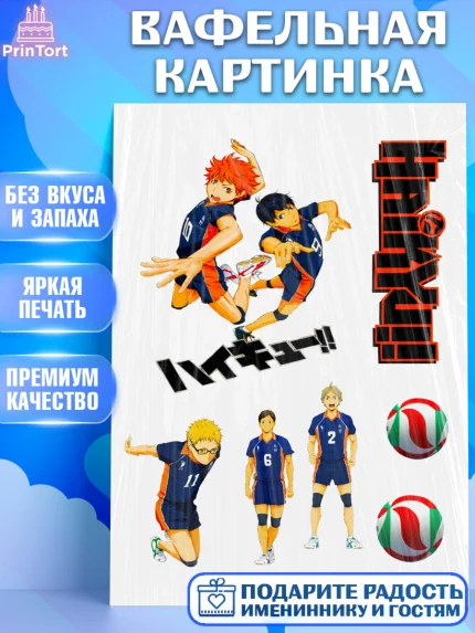 Вафельная картинка, Haikyu, Аниме, Девочка, День рождения, арт. PT225295