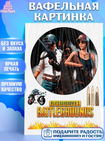 Вафельная картинка, ПАБГ, PUBG Buttlegrounds, Мальчик, День рождения, арт. PT225533