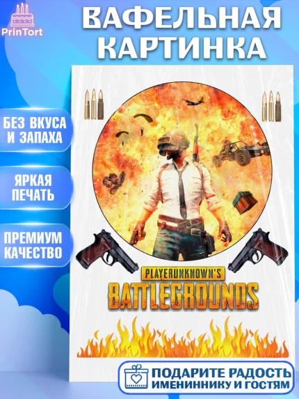 Вафельная картинка, ПАБГ, PUBG Buttlegrounds, Мальчик, День рождения, арт. PT225534