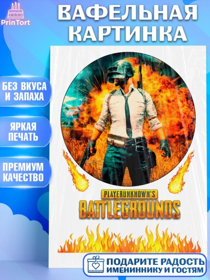 Вафельная картинка, ПАБГ, PUBG Buttlegrounds, Мальчик, День рождения, арт. PT225535