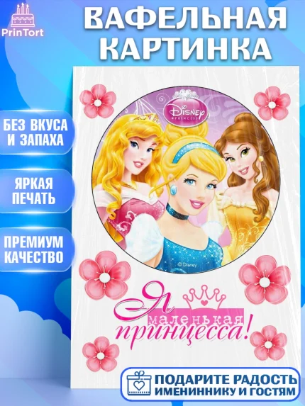 Вафельная картинка, Принцессы, Девочка, День рождения, арт. PT225732