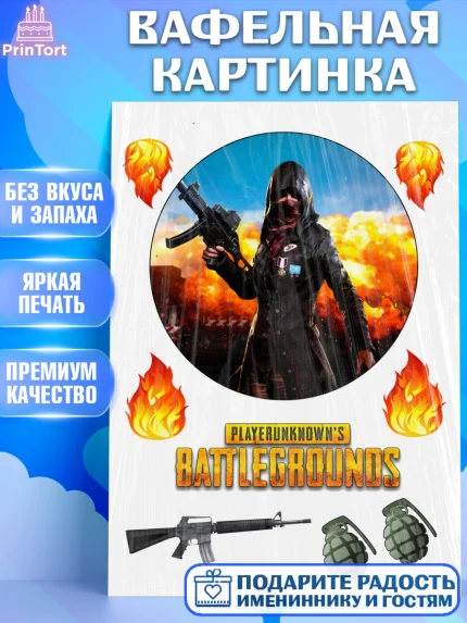 Вафельная картинка, ПАБГ, Battlegrounds, Девочка, День рождения, арт. PT225803