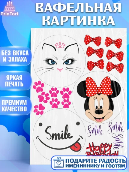 Вафельная картинка, Минни Маус, Бенто Торт, Девочка, День рождения, арт. PT225886