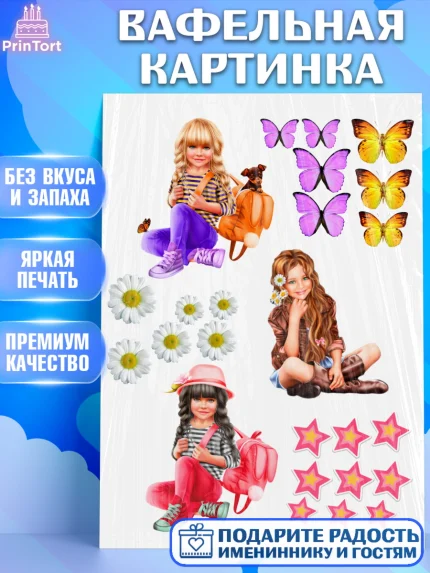 Вафельная картинка, Девушка, Бенто Торт, Девочка, День рождения, арт. PT225901