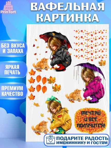 Вафельная картинка, Девушка, Бенто Торт, Девочка, День рождения, арт. PT225902