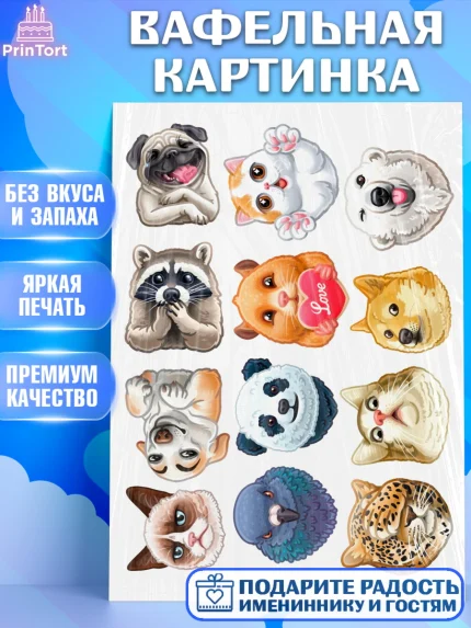 Вафельная картинка, Зверята, Животные, Девочка, День рождения, арт. PT226031