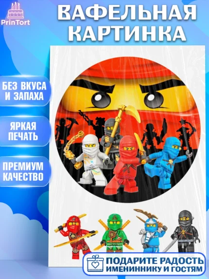 Вафельная картинка, Лего, Девочка, День рождения, арт. PT226045