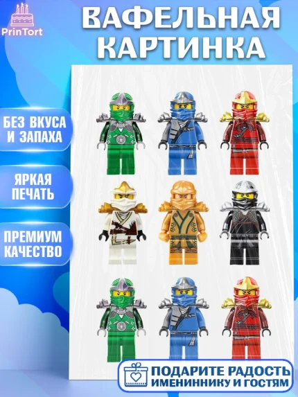 Вафельная картинка, Лего, Девочка, День рождения, арт. PT226046