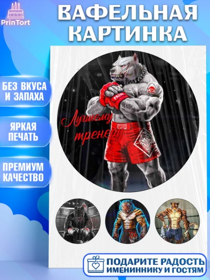 Вафельная картинка, Тренеру, ММА, Мальчик, День рождения, арт. PT226053