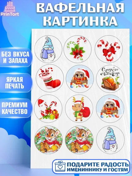 Вафельная картинка, Новый год, Девочка, арт. PT226109