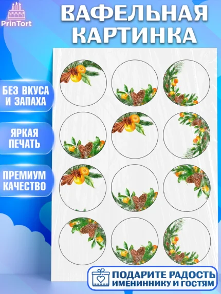 Вафельная картинка, Новый год, Девочка, арт. PT226132